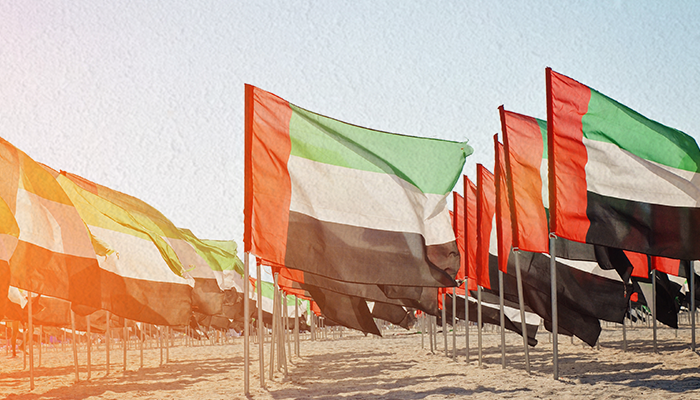 La Misión Emiratos Árabes Unidos 2022 genera más de 700 mil dólares para la delegación de Franchising Brasil