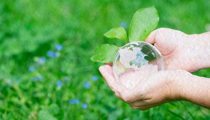 Franquicias sostenibles: descubra cinco marcas brasileñas con iniciativas alineadas con la preservación ambiental